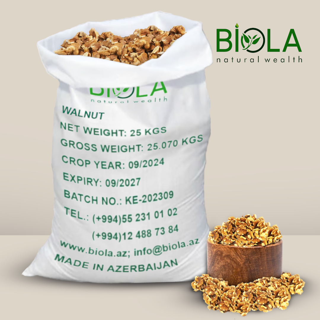 Walnut Seed