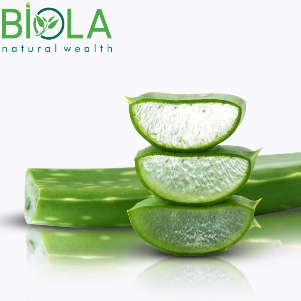 Aloe Vera (Aloe barbadensis miller)