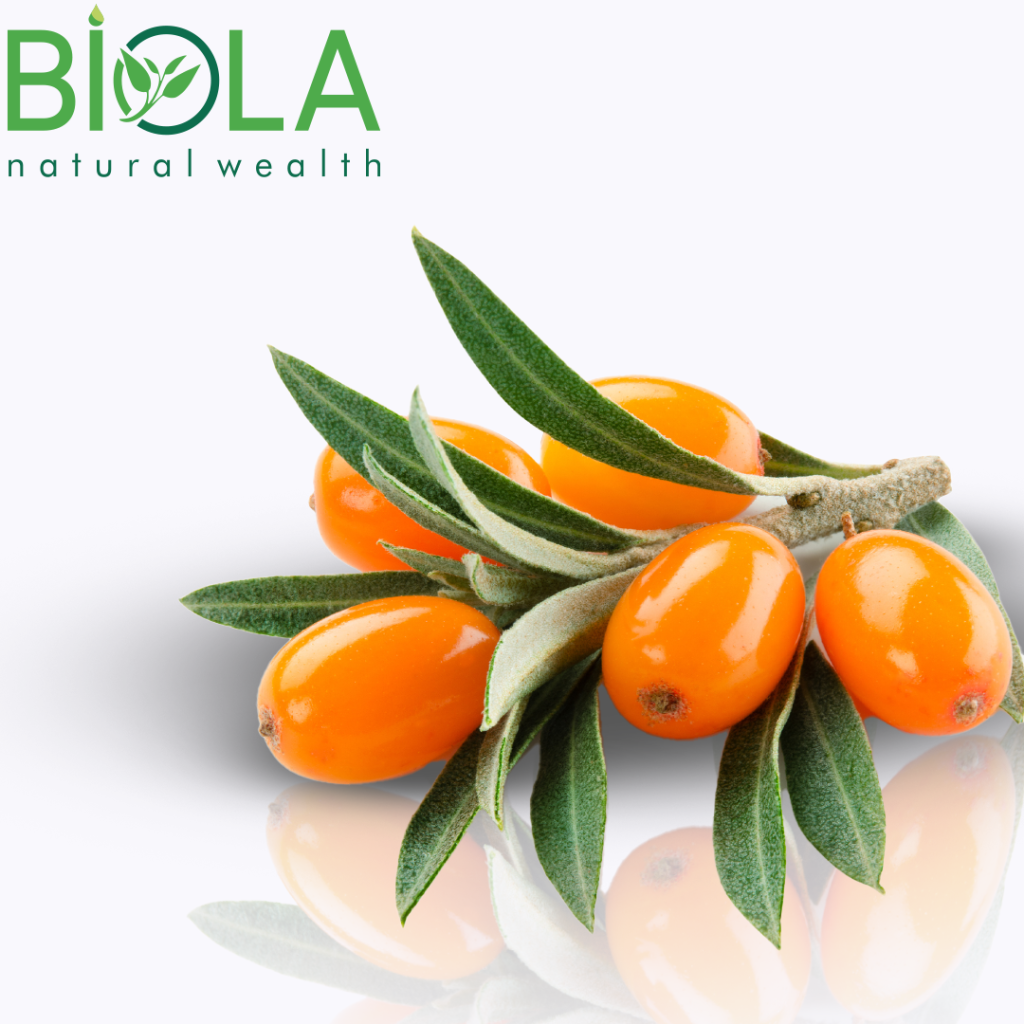 Sea Buckthorn