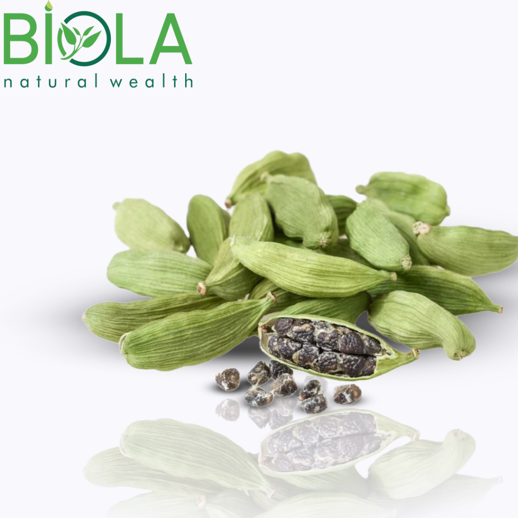 Cardamom
