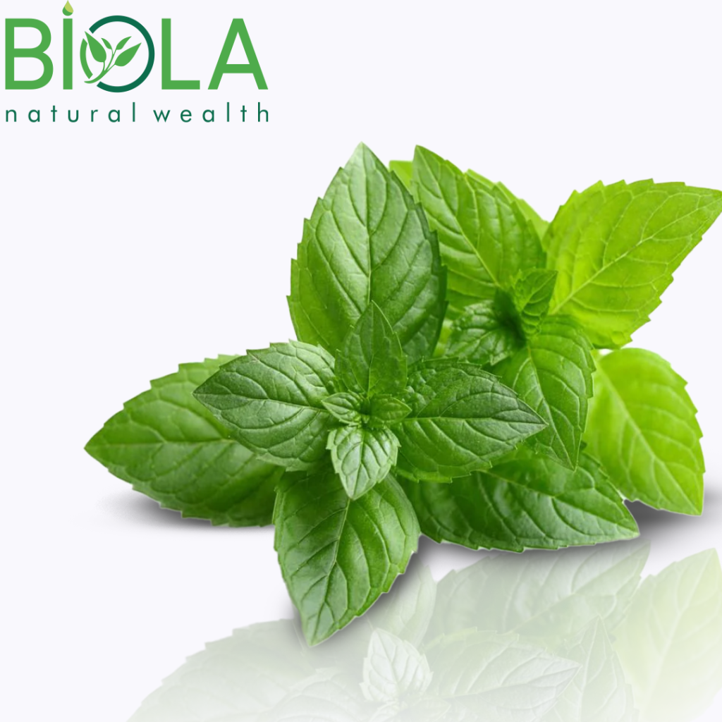Spearmint