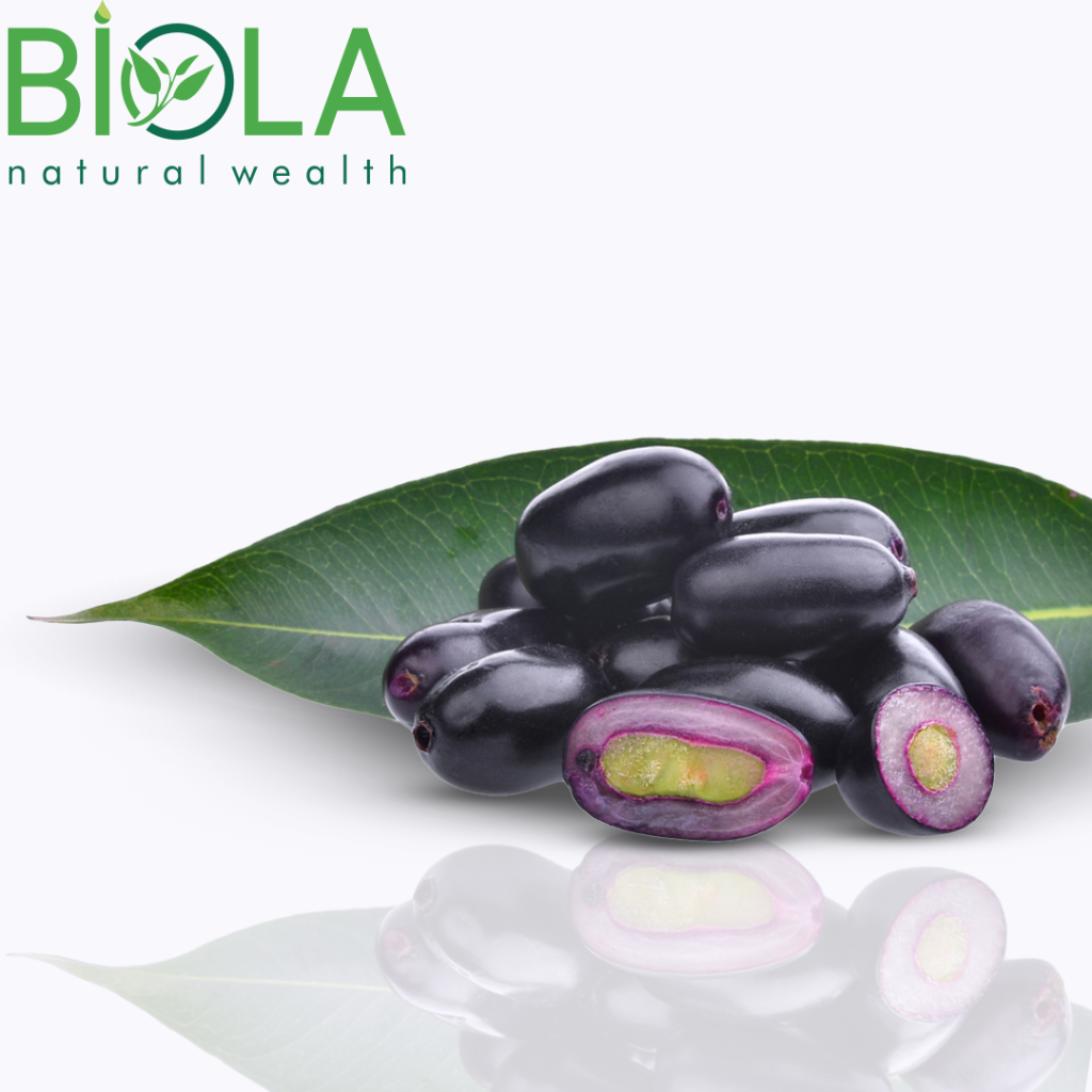 Jamun (Syzygium cumini)