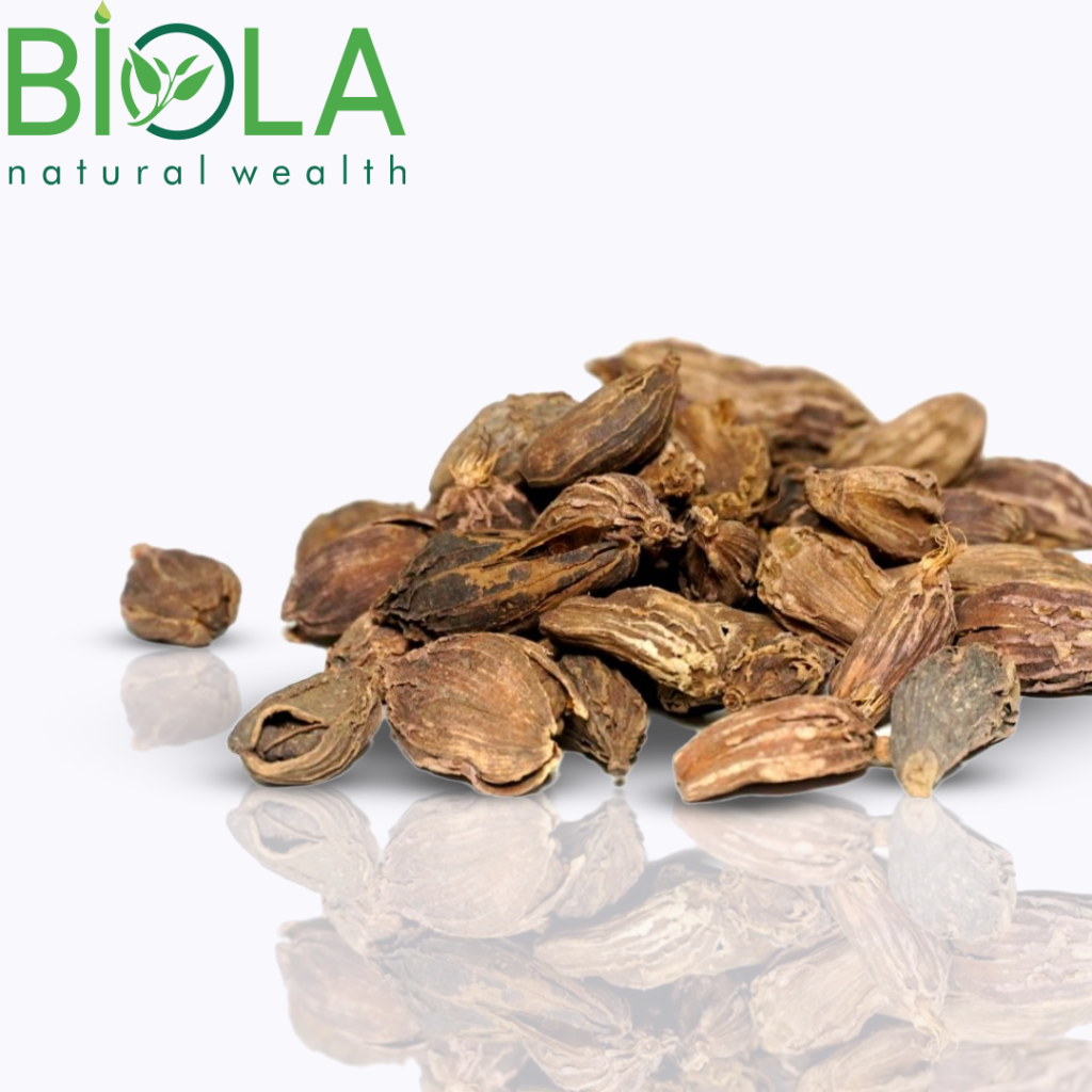 Black Cardamom