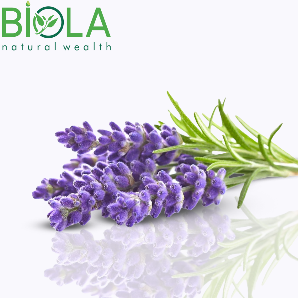 Lavender