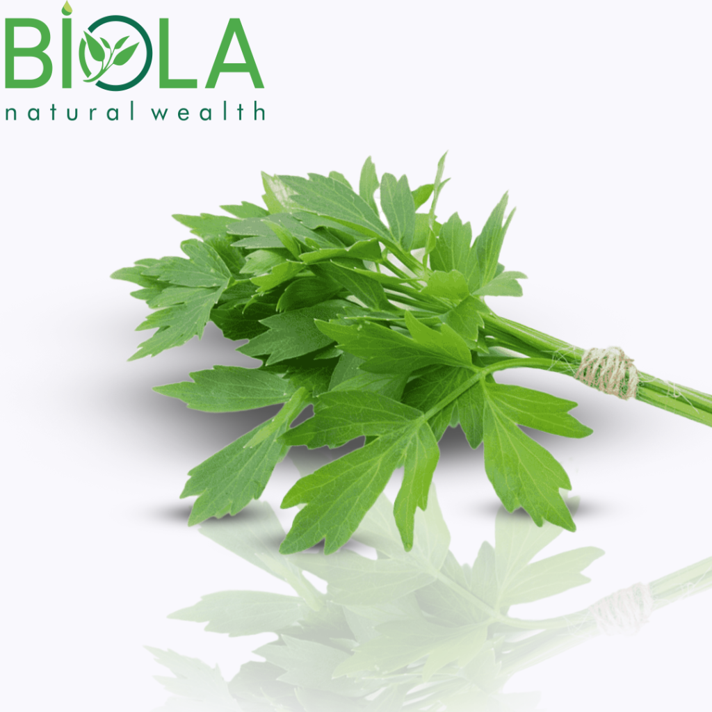 Lovage