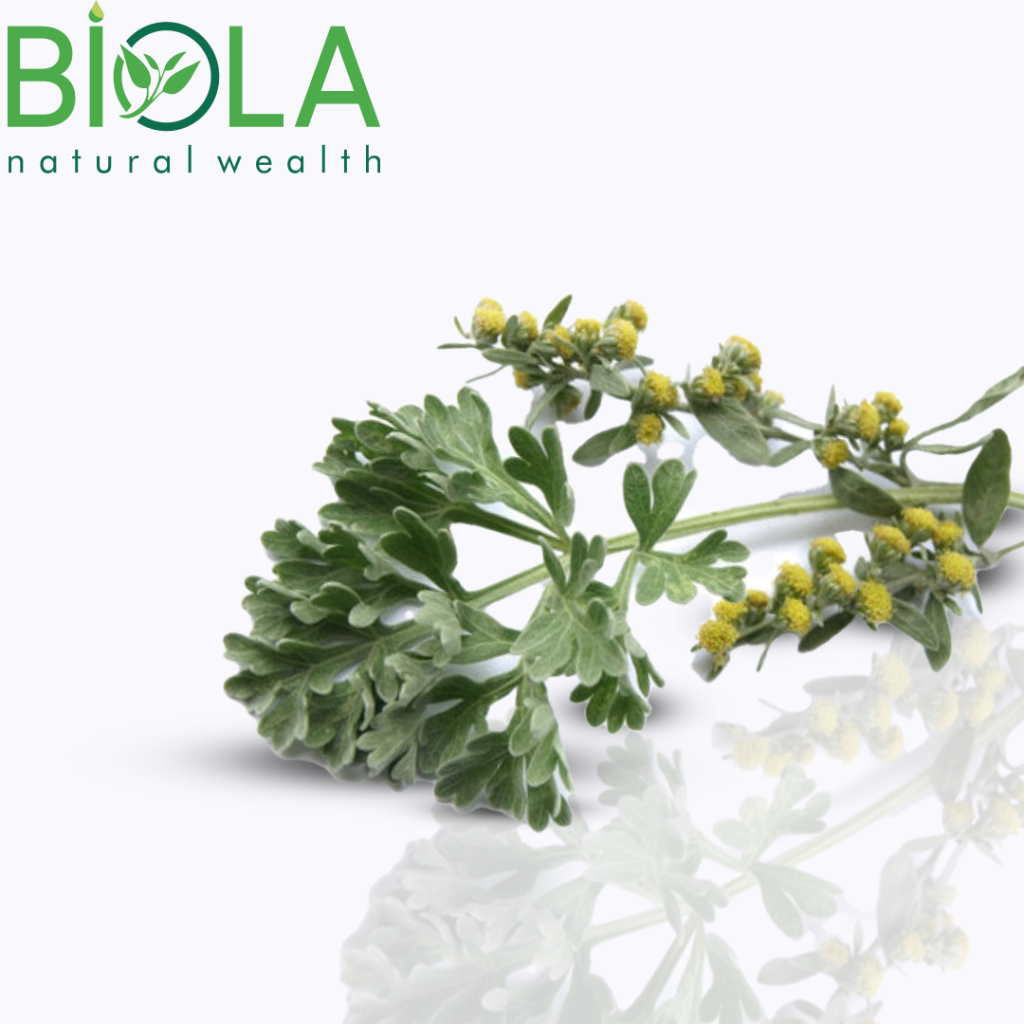 Wormwood
