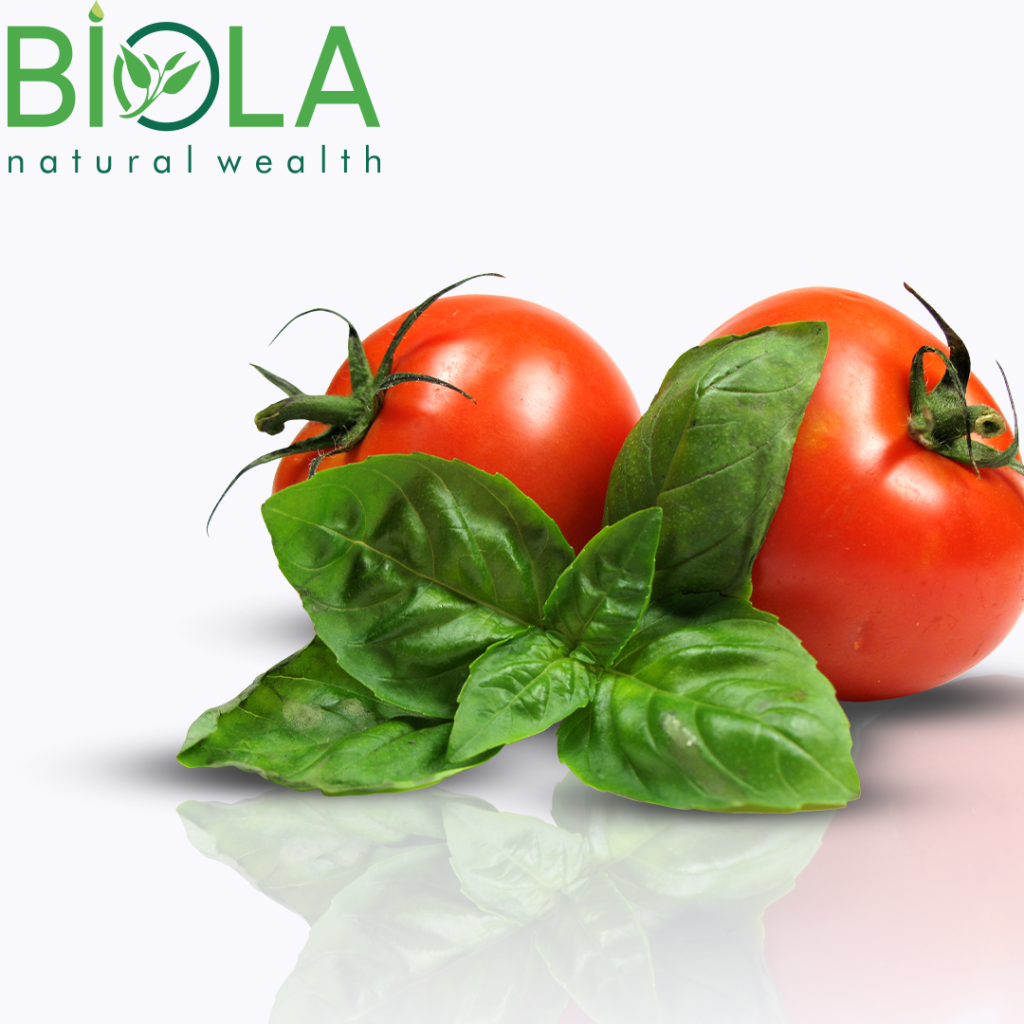 Tomato