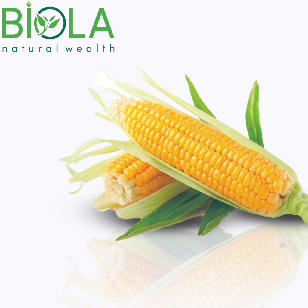 Corn Silk
