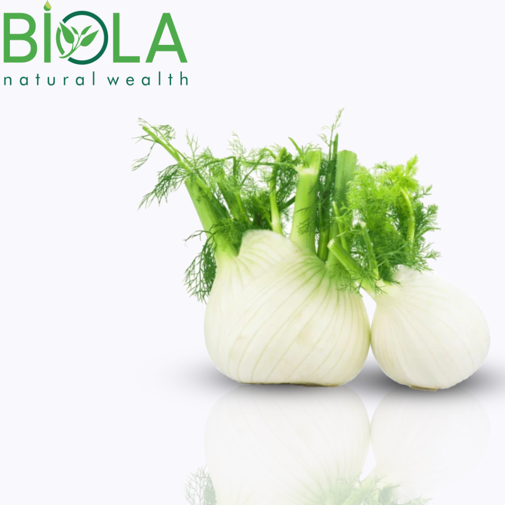 Fennel