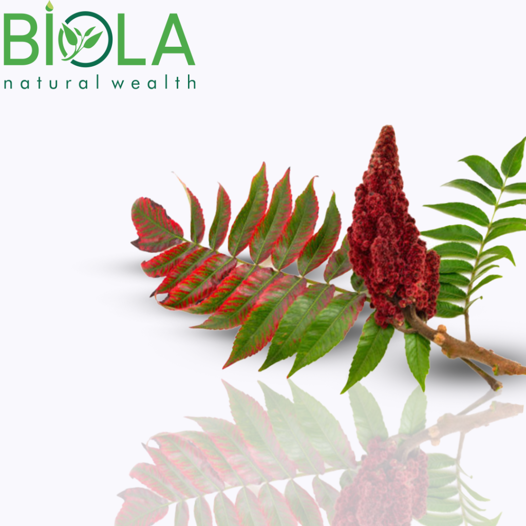 Sumac
