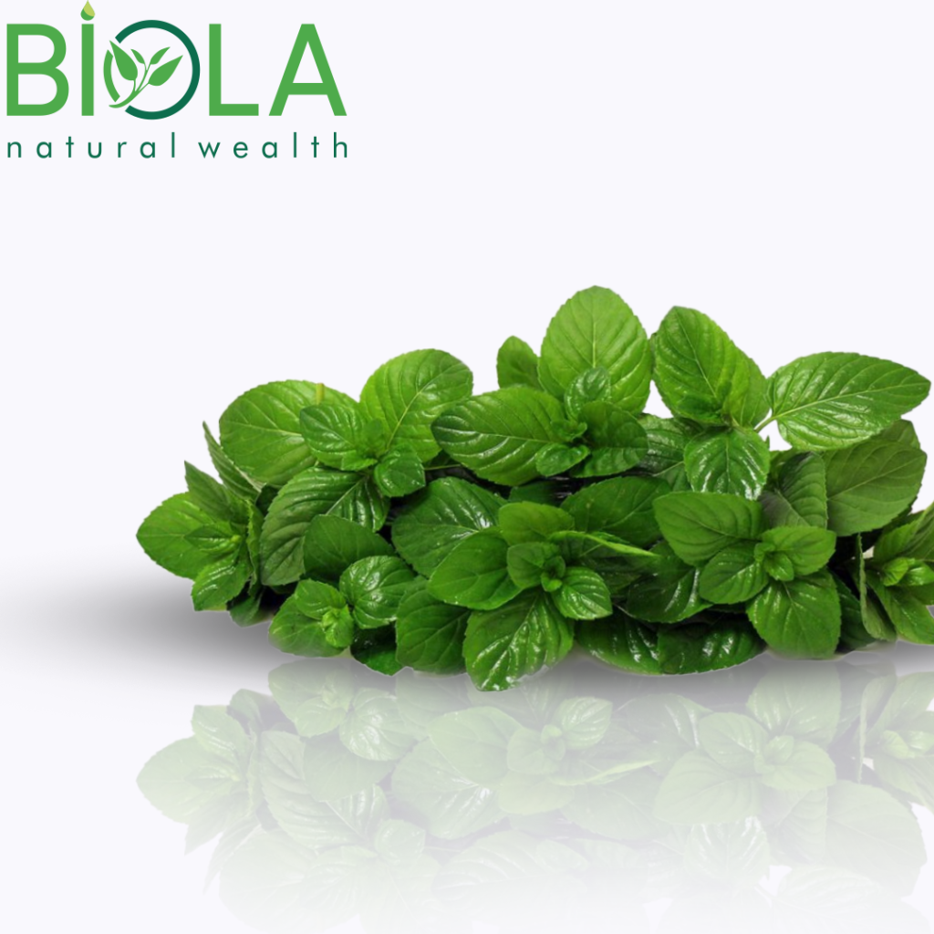 Spearmint