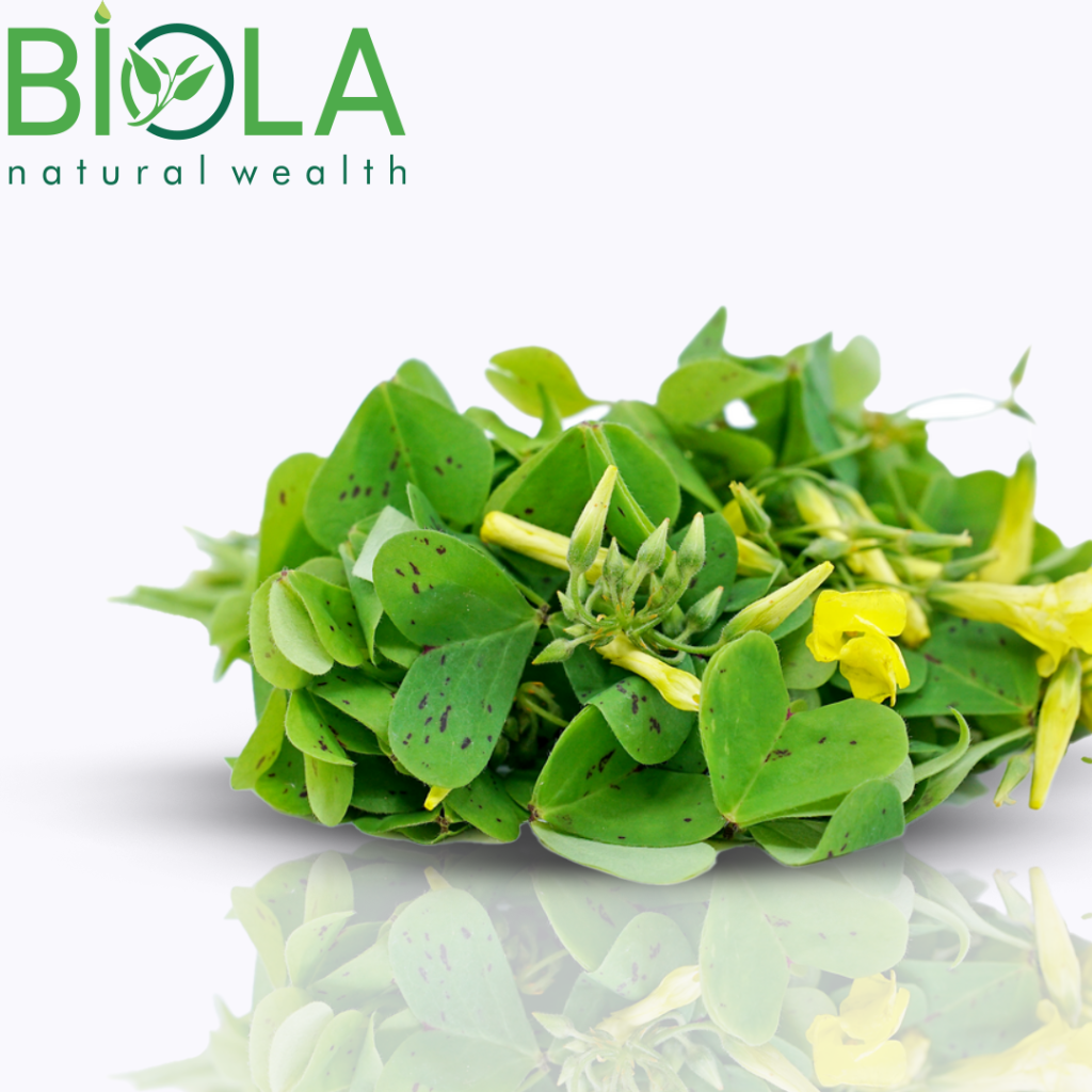Wood Sorrel