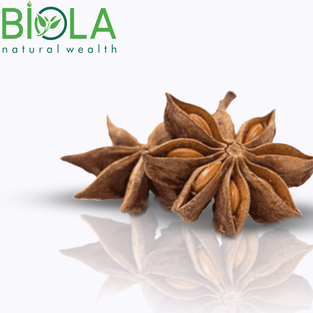 Star Anise