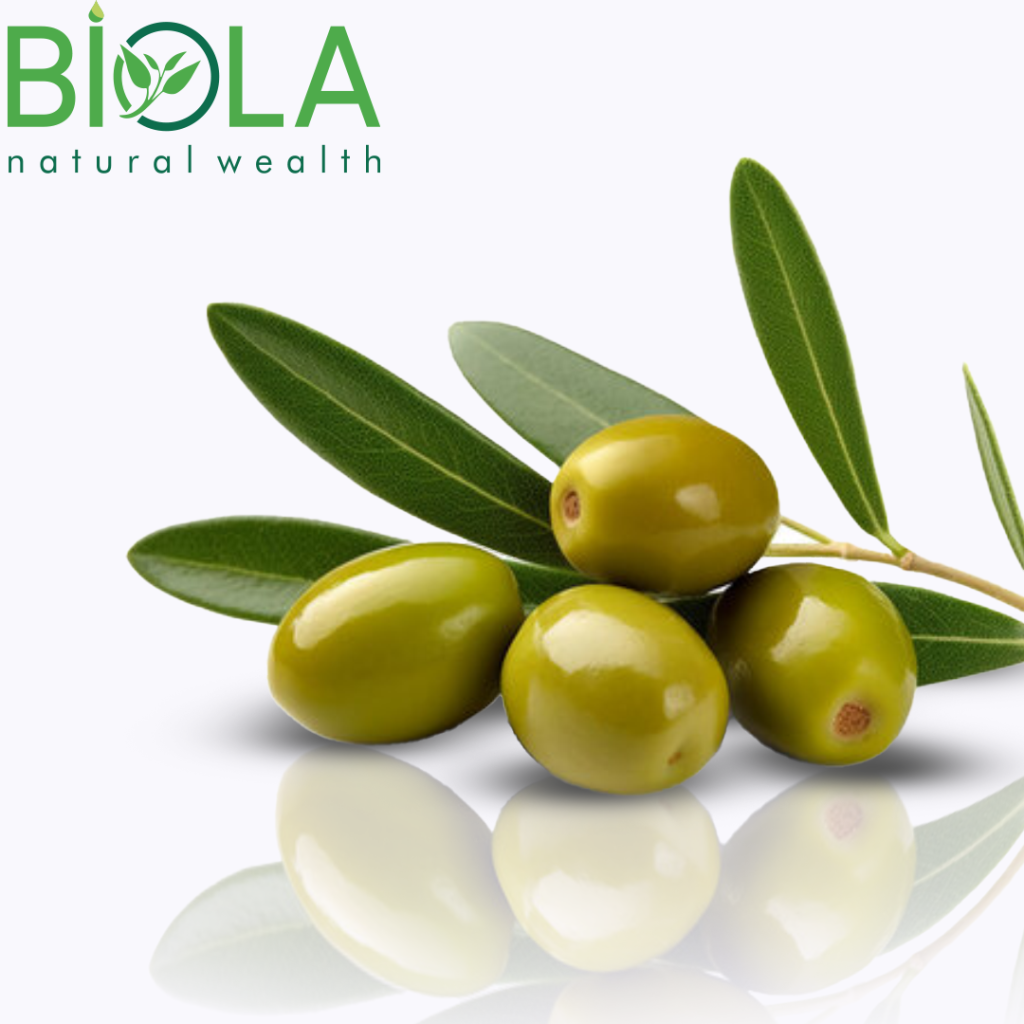 Olive