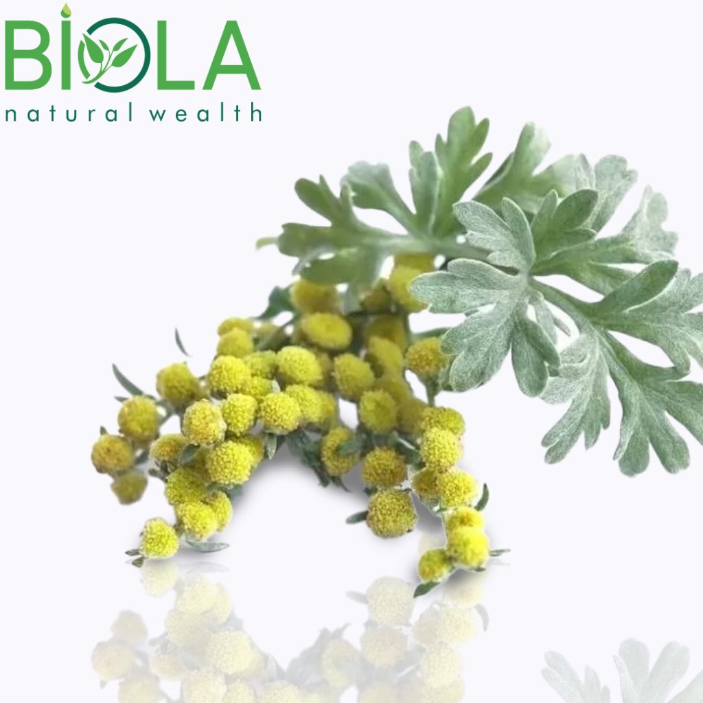 Wormwood