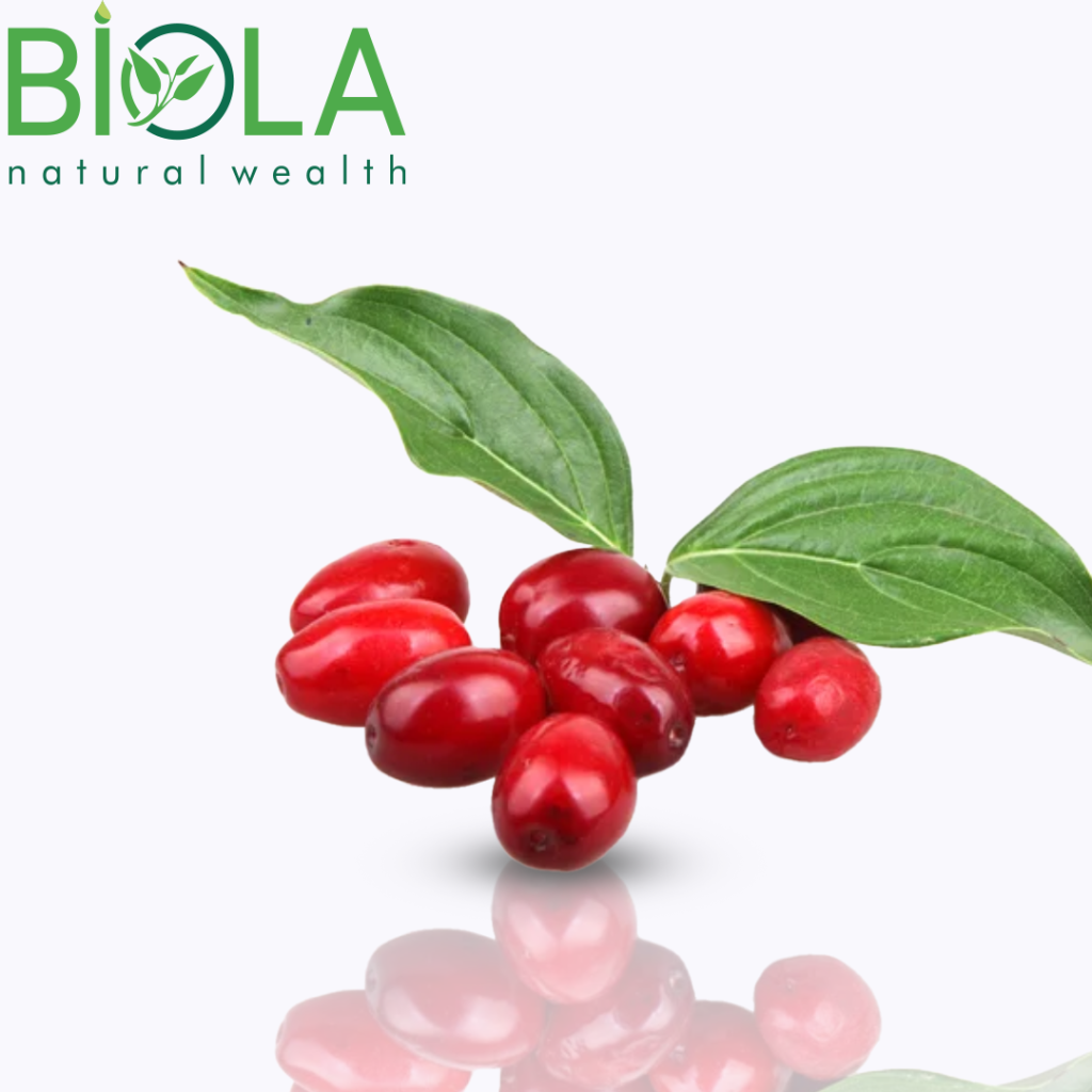 Cornelian Cherry