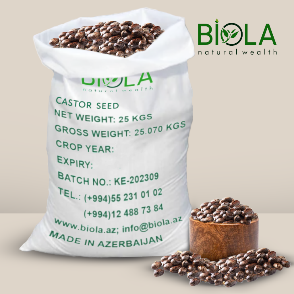 Castor Seed